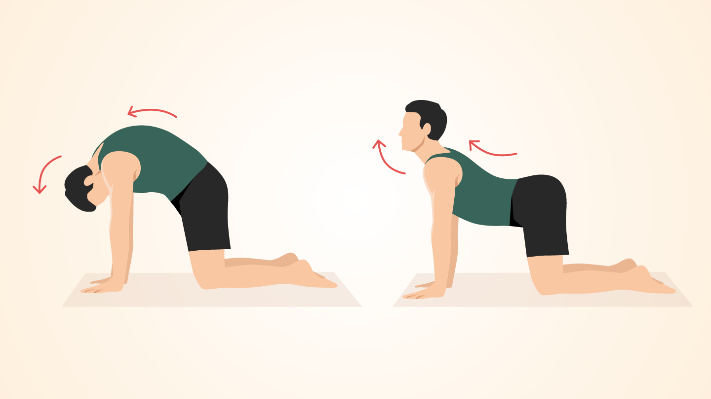 Cat-Cow Pose